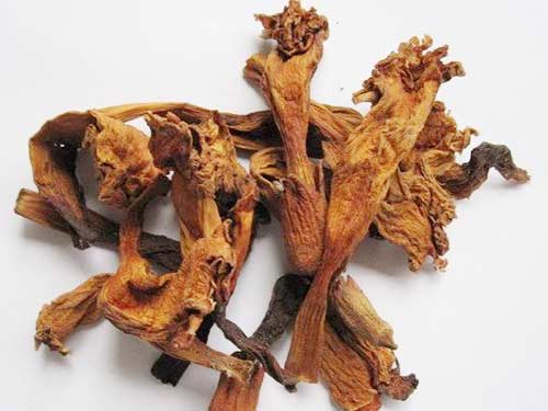 凌霄花根功效与作用