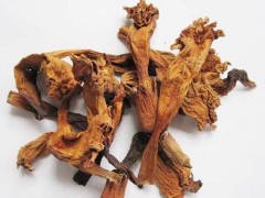 凌霄花根功效与作用