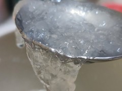 血燕