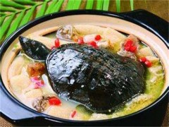 水鱼的营养价值