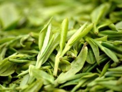 养肝草多少钱一斤