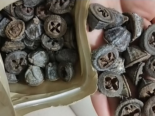 一口盅哪些人不能喝