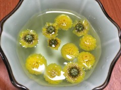 康仙花的功效与禁忌是什么