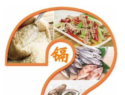 镉元素