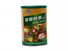 胆结石怎么治疗