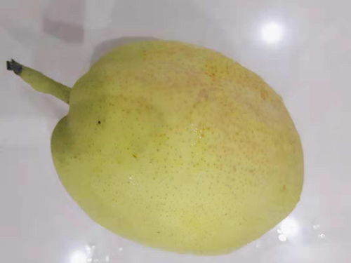 5个小妙招巧治口腔溃疡 口腔溃疡是缺什么维生素