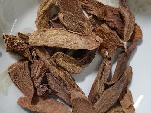 锁阳是什么东西