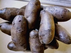 黑土豆的功效与作用