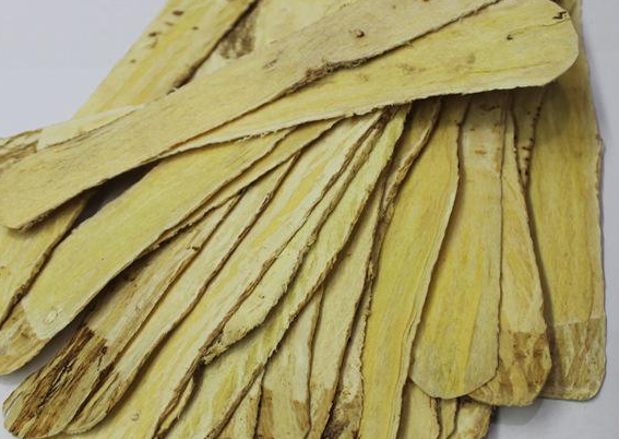 黄芪