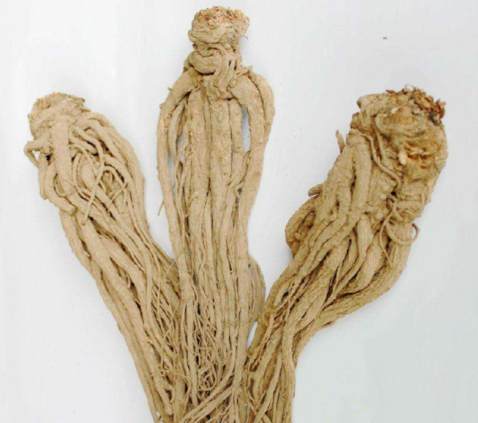 当归