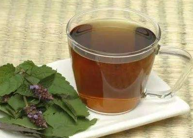 桑叶侧柏叶苦丁茶