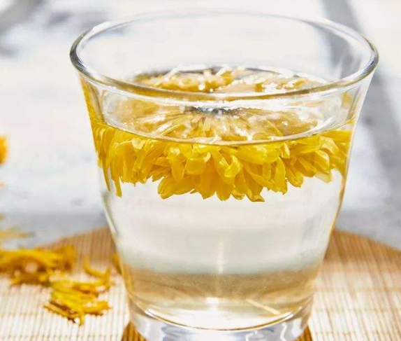 菊花麦冬茶