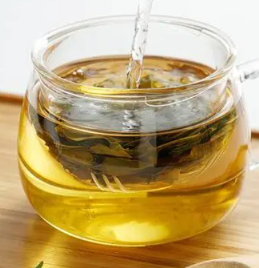 苦丁茶