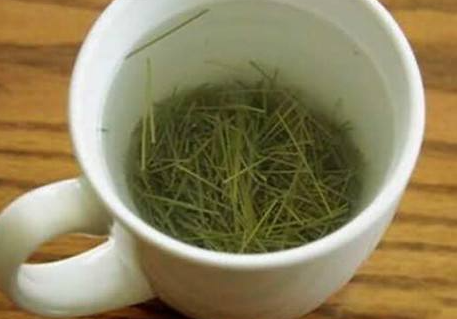 毛尖茶