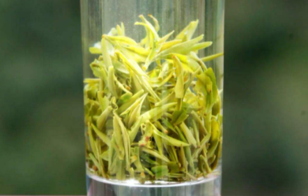 什么茶排毒养颜