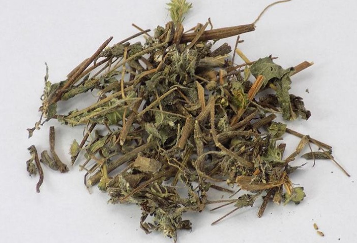 旱莲草