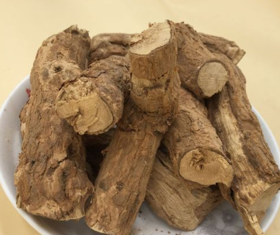 枸杞子根
