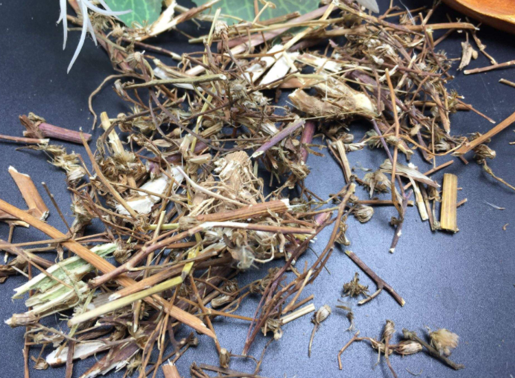 飞天蜈蚣草