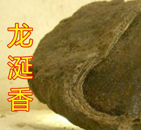龙涎香