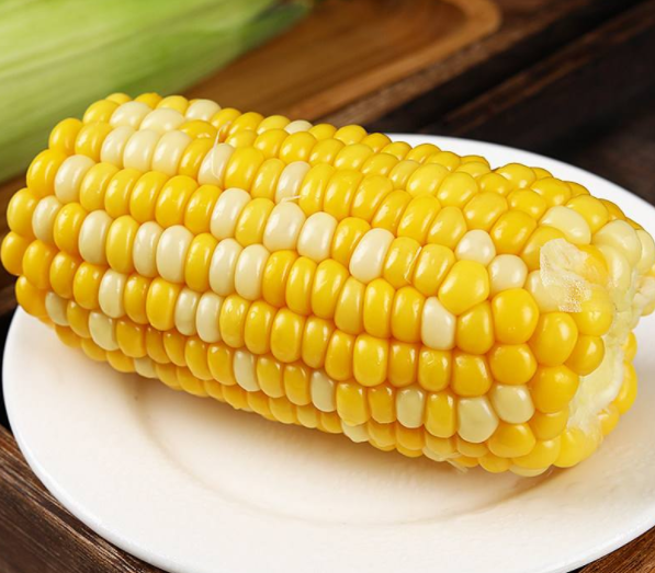 玉米