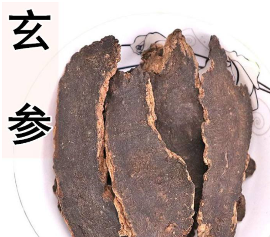 玄参