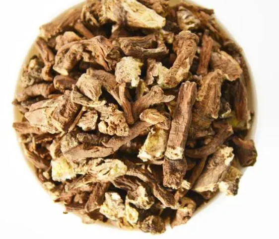 蒲公英根