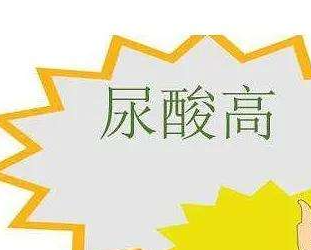 尿酸高的原因