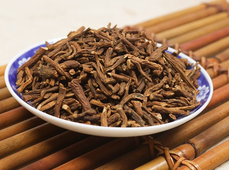 蒲公英根