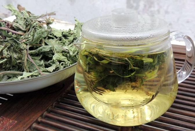 蒲公英茶