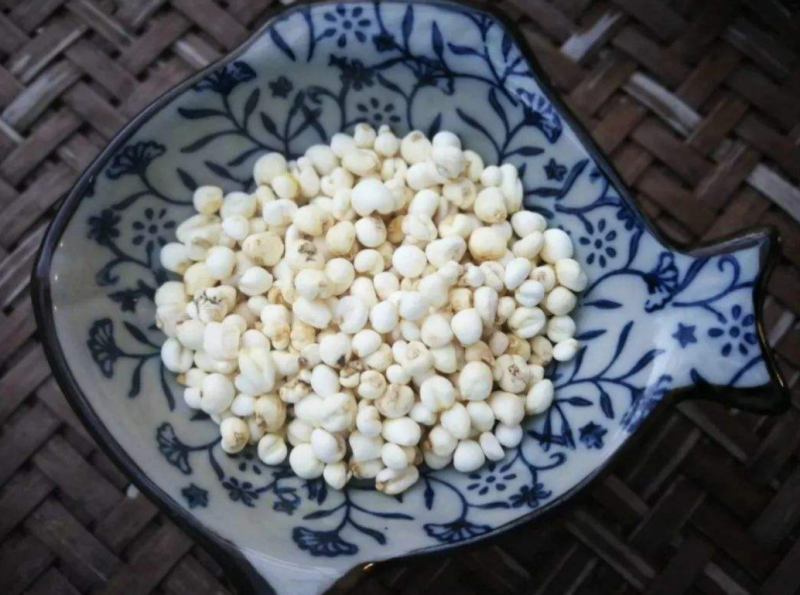 川贝母