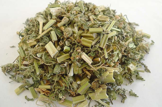 益母草