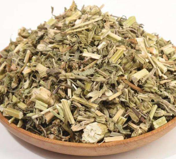 干益母草