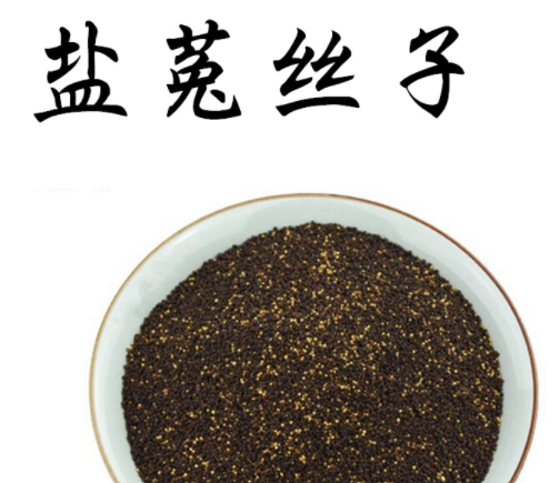 盐菟丝子