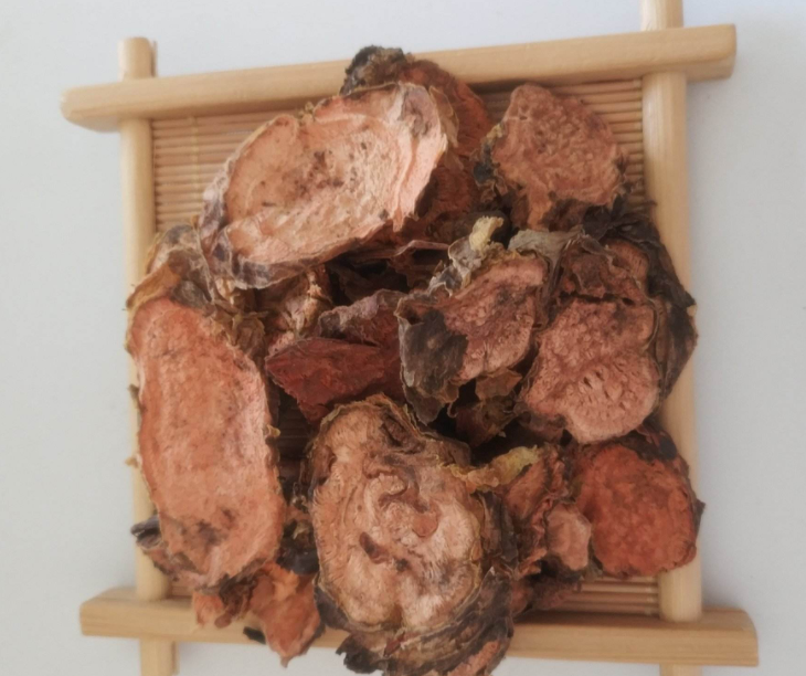 红景天