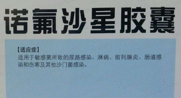 诺氟沙星胶囊治什么病