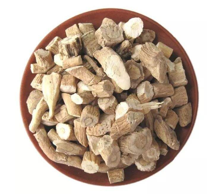 板蓝根