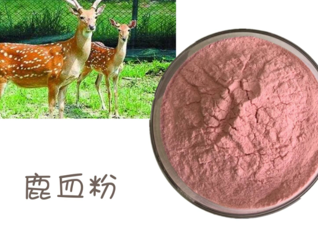 鹿血粉