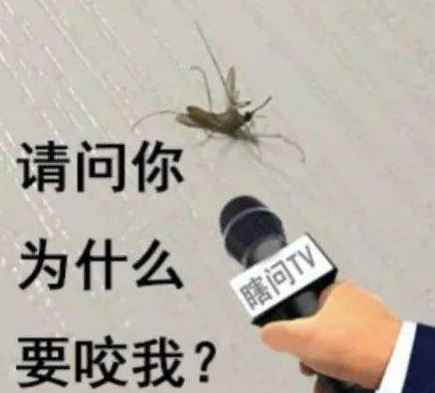 蚊子咬
