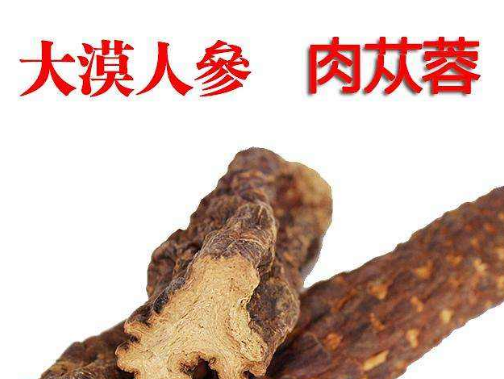 肉苁蓉