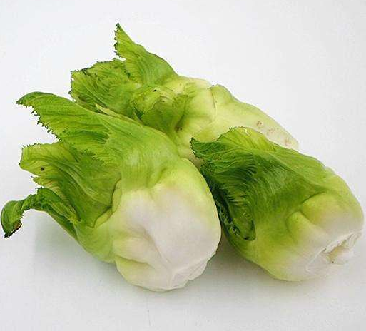 儿菜