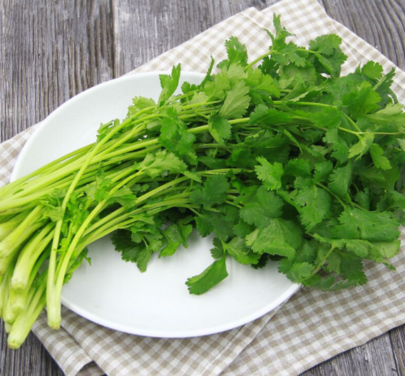 香菜