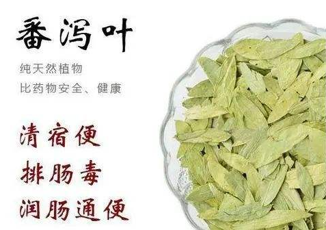 番泻叶的功效与副作用