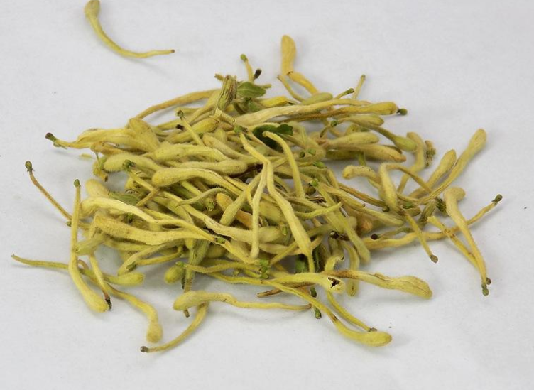 金银花泡水喝的功效与作用是什么