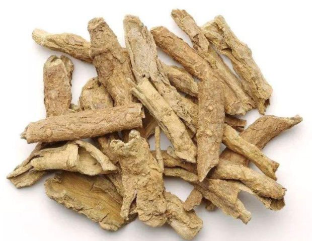 地骨皮的功效与作用点
