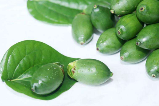 生槟榔什么味
