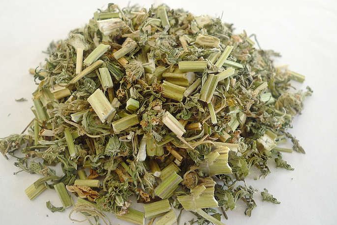 益母草