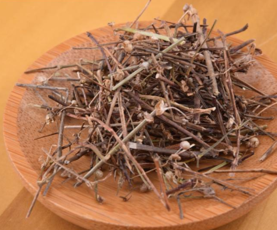 白花蛇舌草和半枝莲