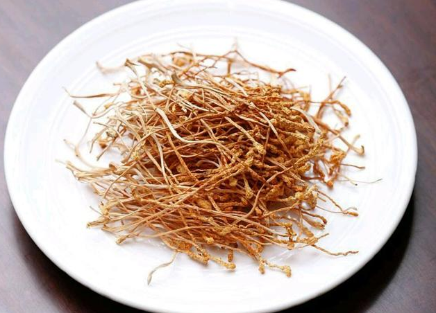 蚕虫草的功效与作用吃法