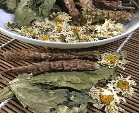 夏桑菊的功效与作用有哪些？