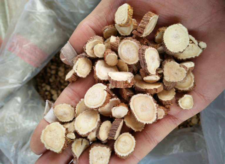 苦参的功效与作用有哪些？